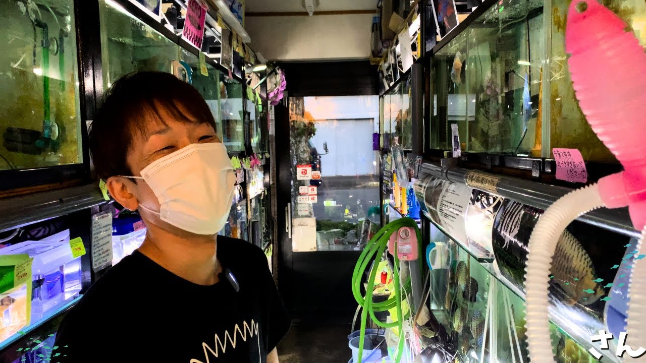 [Aqua Shop Zero] Revisiting the Local Tropical Fish Store I Frequented During High School