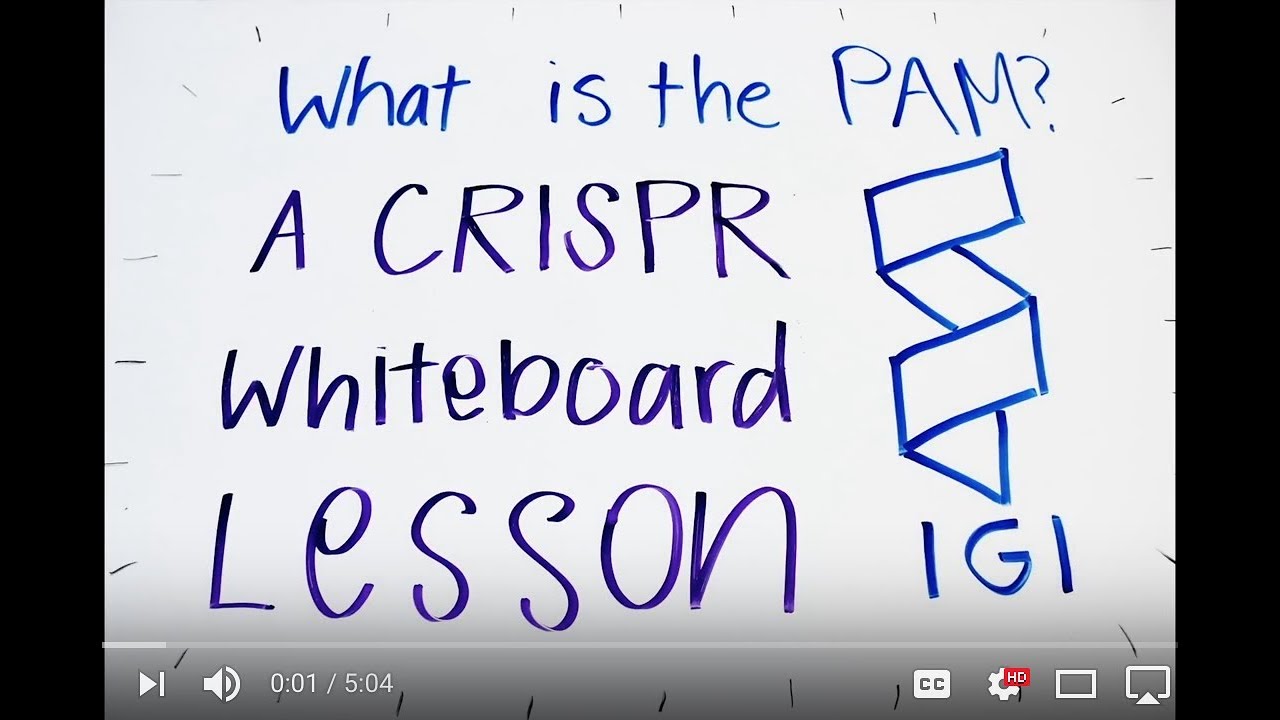 What is the PAM? - A CRISPR Whiteboard Lesson