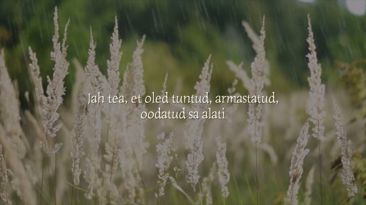 Timo Lige - Tuntud, armastatud, oodatud