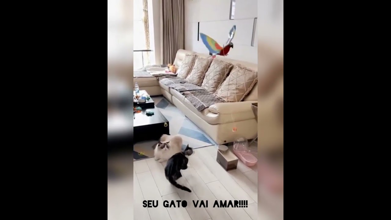 papagaio eletrico voo realista