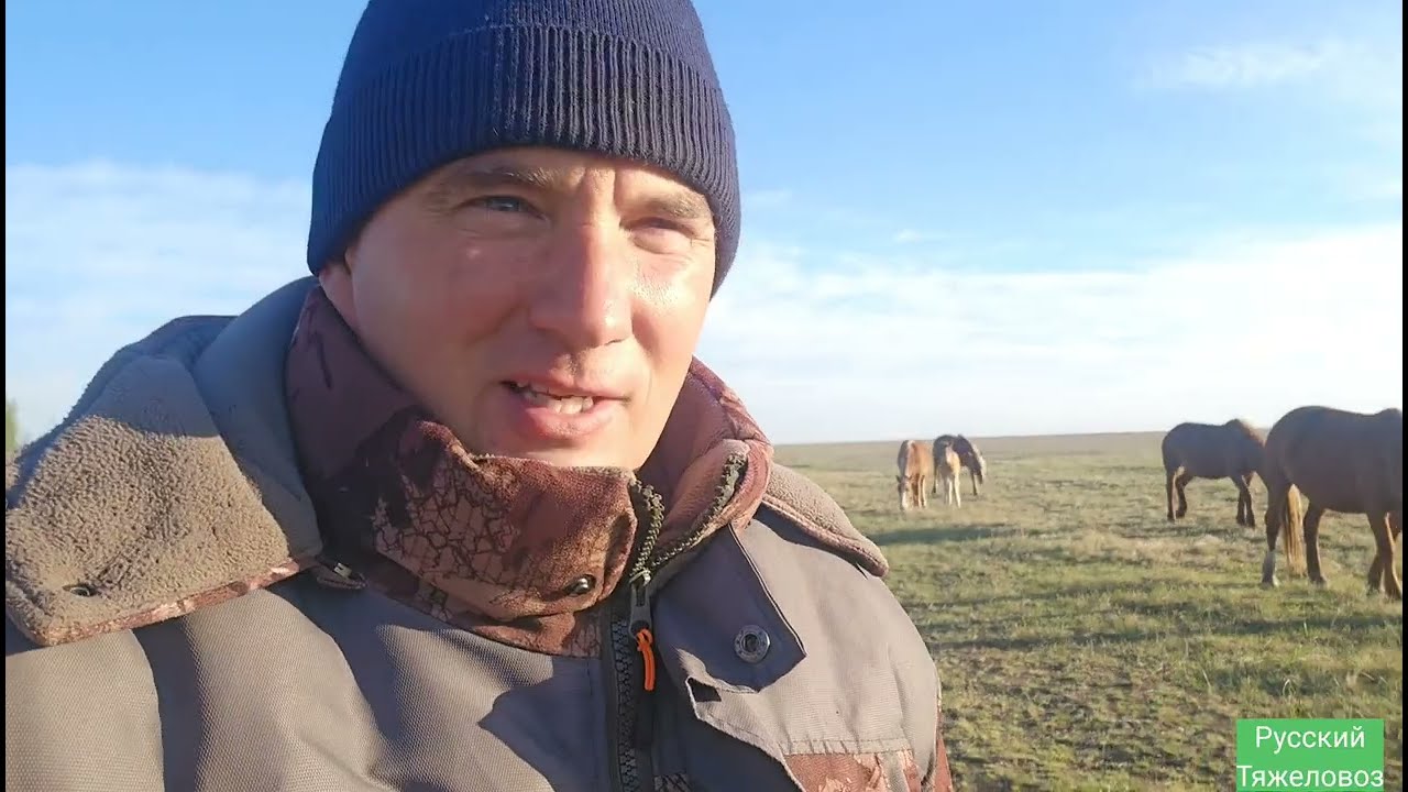 ВАГОННЧИК ДЛЯ ПАСТУХА! ЭЛЕКТРО ИЗГОРОДЬ КАК ЯБЛОКО РАЗДОРА .