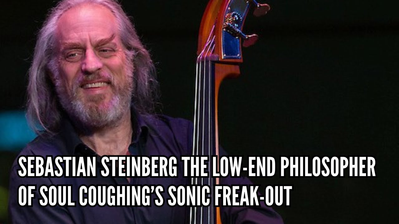 Sebastian Steinberg The Low End Philosopher of Soul Coughing&rsquo;s Sonic Freak Out