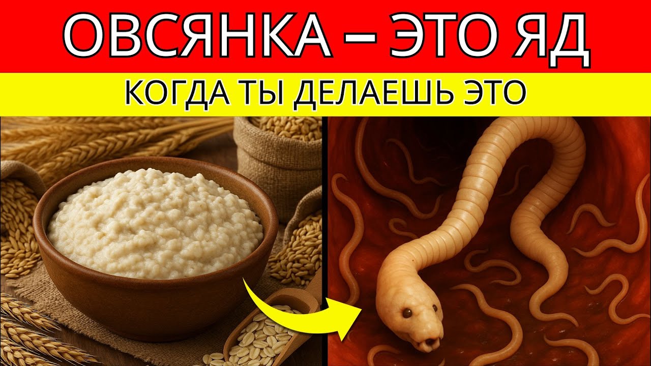 Прекрати есть овсянку! 7 ошибок, которые вредят организму, даже если ты об этом не знаешь