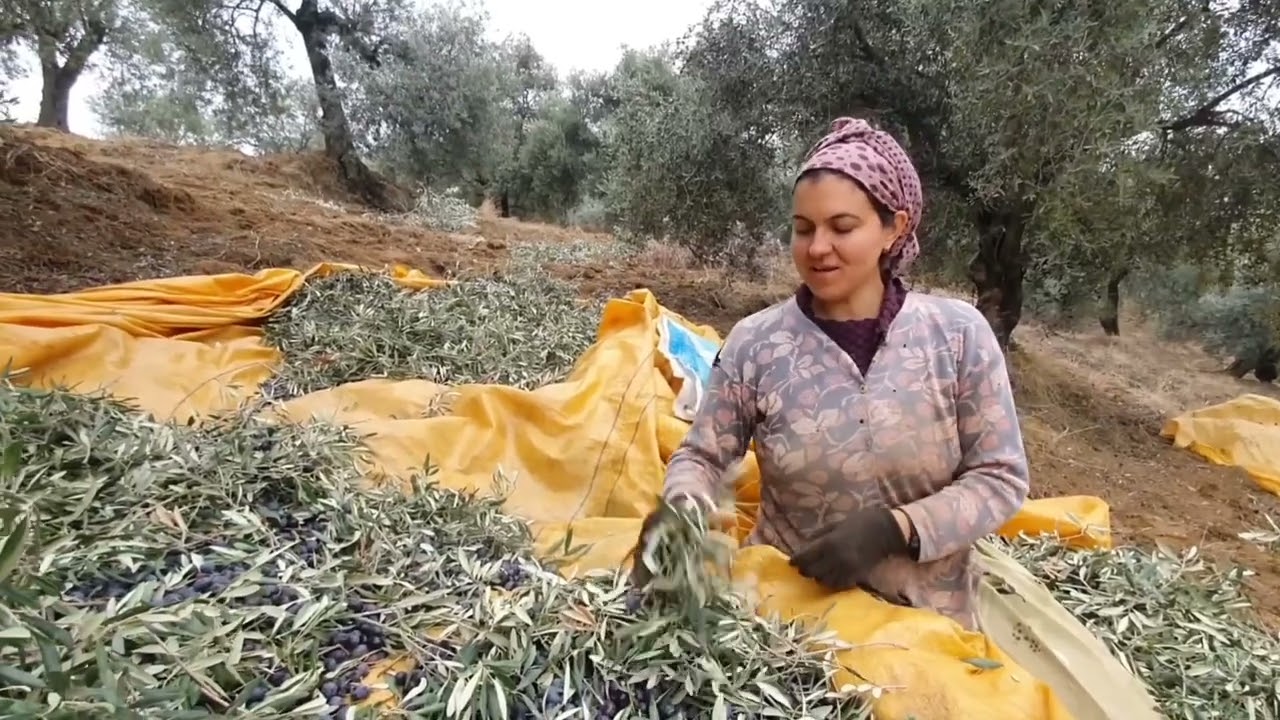 BİR ADA MASALI - KIBRIS İ&Ccedil;İN &Ccedil;AL