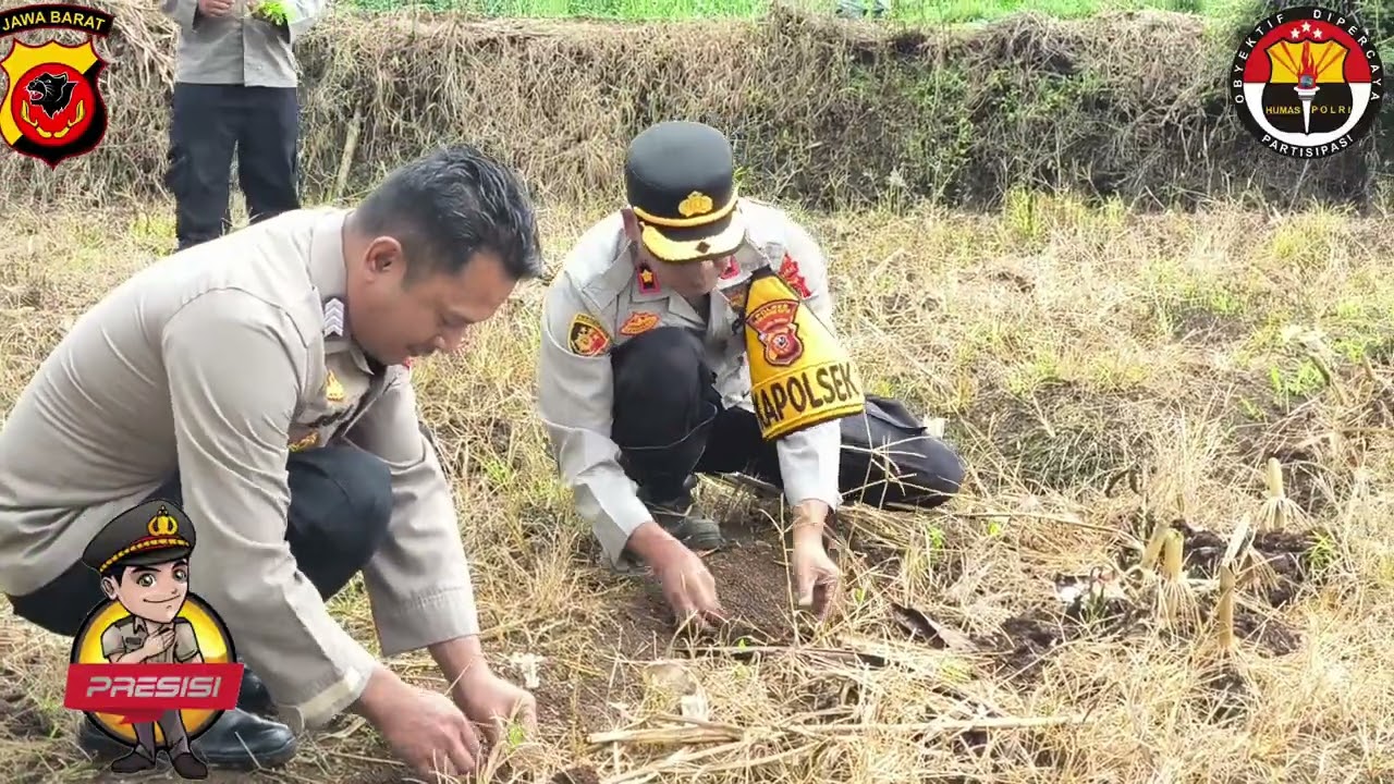 Penanaman Jagung di wilayah Polsek Sukaraja 