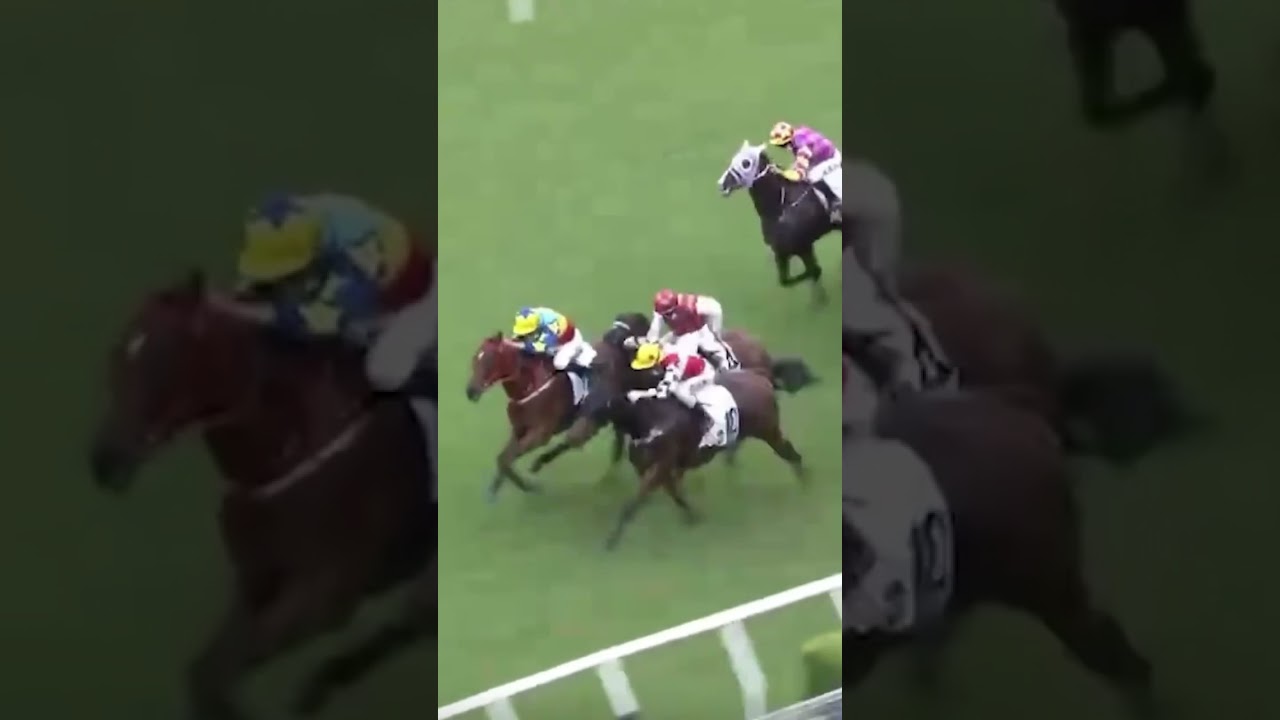 OH MY 🤯 Have you ever seen a photo finish between FOUR horses!? Who won? 👀 🎥 HKJC_Racing