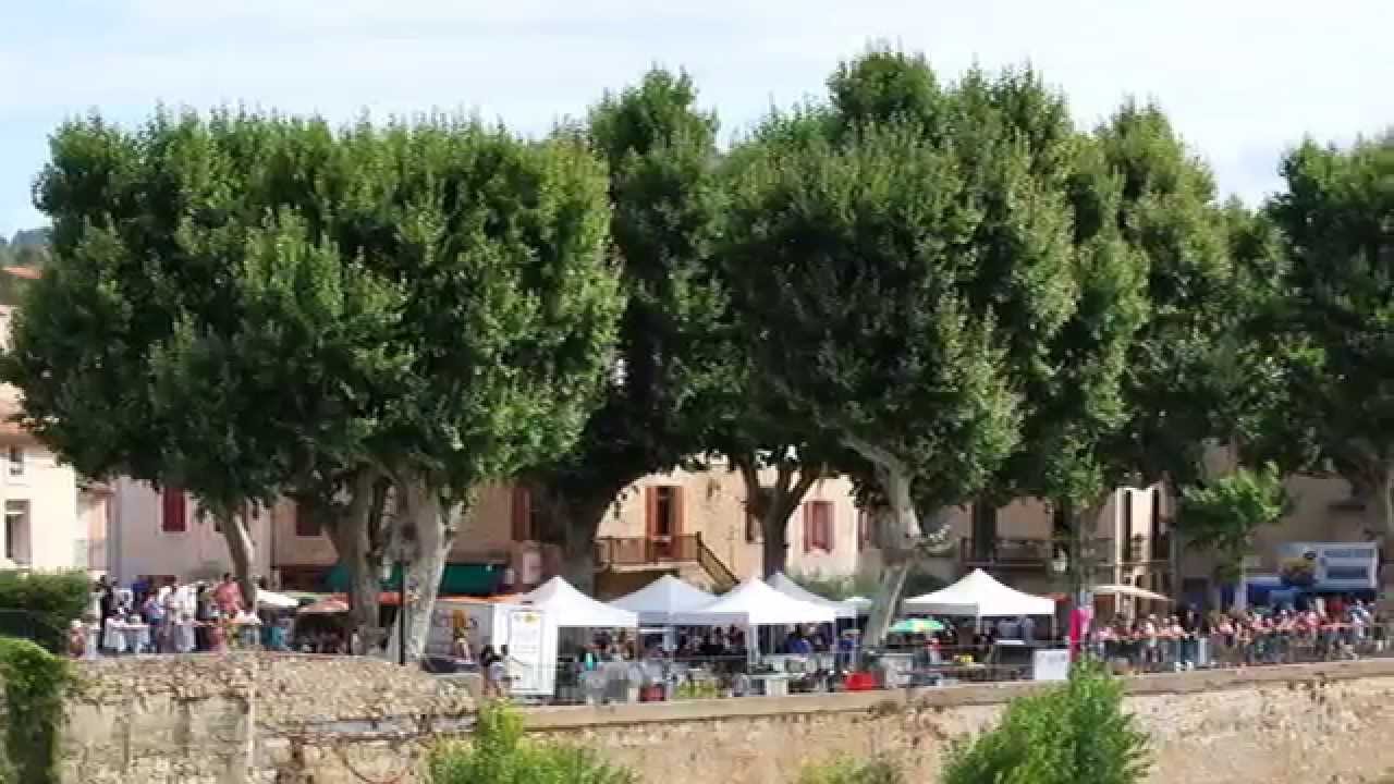 SUD DE FRANCE - FÊTE DE L'OLIVIER 2015 © - BIZE-MINERVOIS