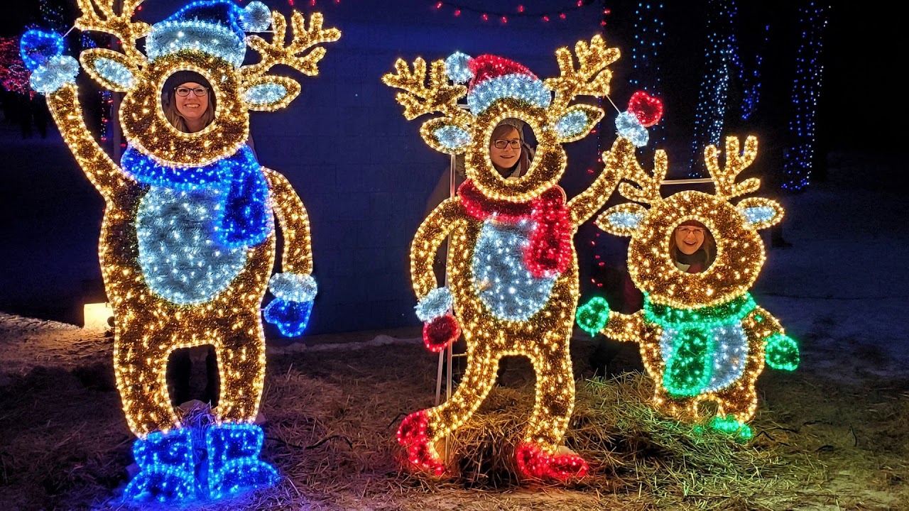 Zoo Lights Festival - Assiniboine Park  -  2020