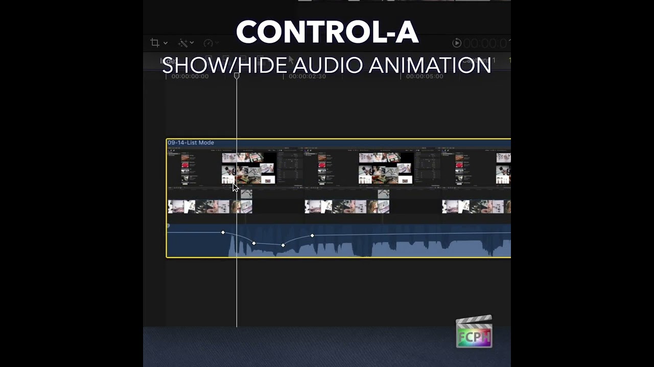 Final Cut Pro Shortcut | Control-A | Show/Hide Audio Animation