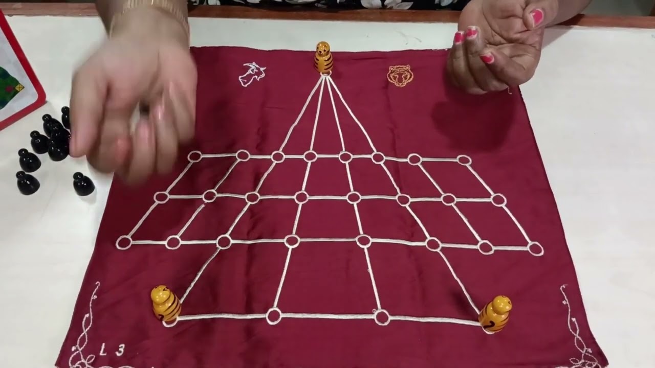 How to play the game of tigers and goats