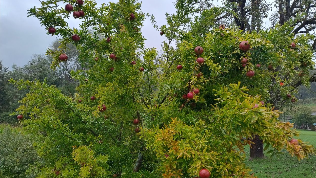 De Múnich a Venecia: Agordo - Belluno 