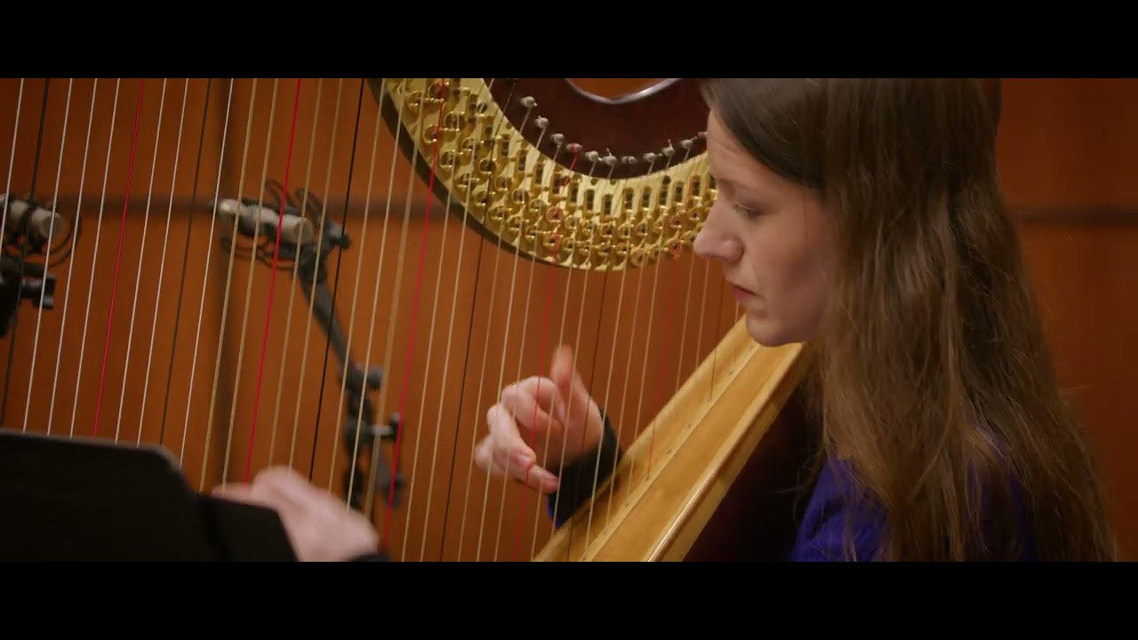 Duo SeRa plays Bach: Sonata in G minor BWV 1020 - 1. Allegro