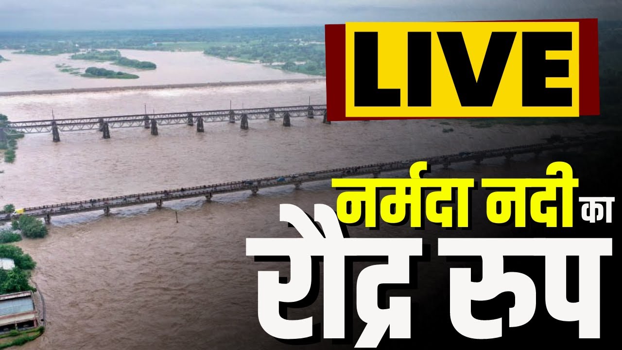 Heavy Rain in Omkareshwar: नर्मदा नदी का रौद्र रुप | बांध से पानी छोड़े जाने के बाद नर्मदा हुई विकराल