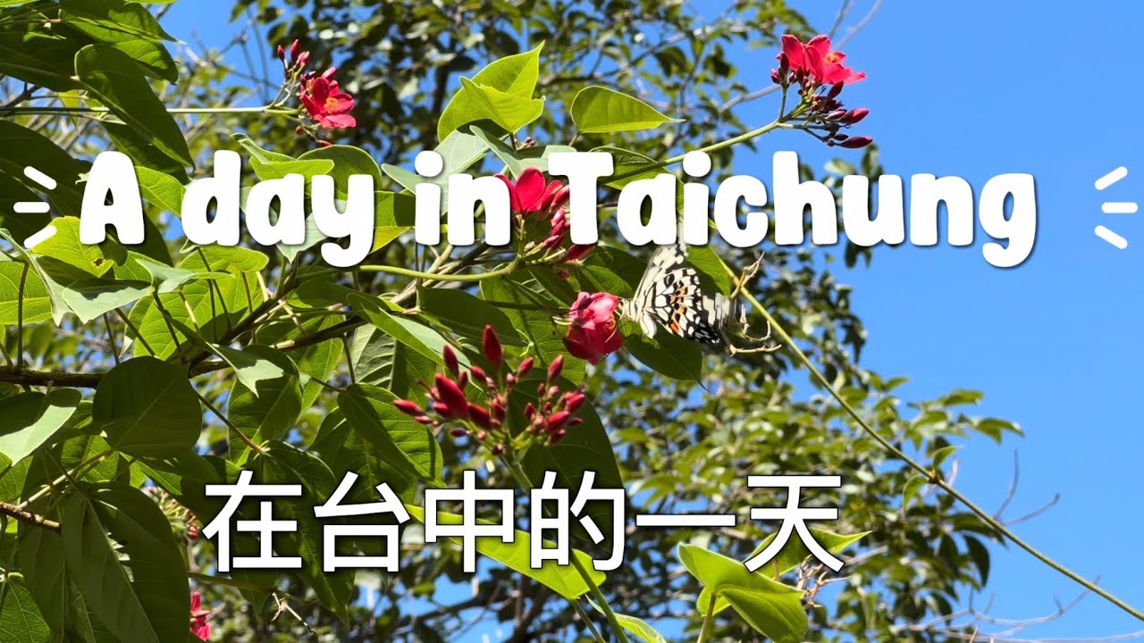 Один день в Тайчуне, Тайвань 🇹🇼 | Сады, искусство, скрытые рынки и ночная уличная еда