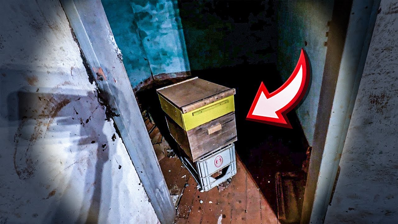 VOLTAMOS NA LENDA DO APICULTOR A NOITE