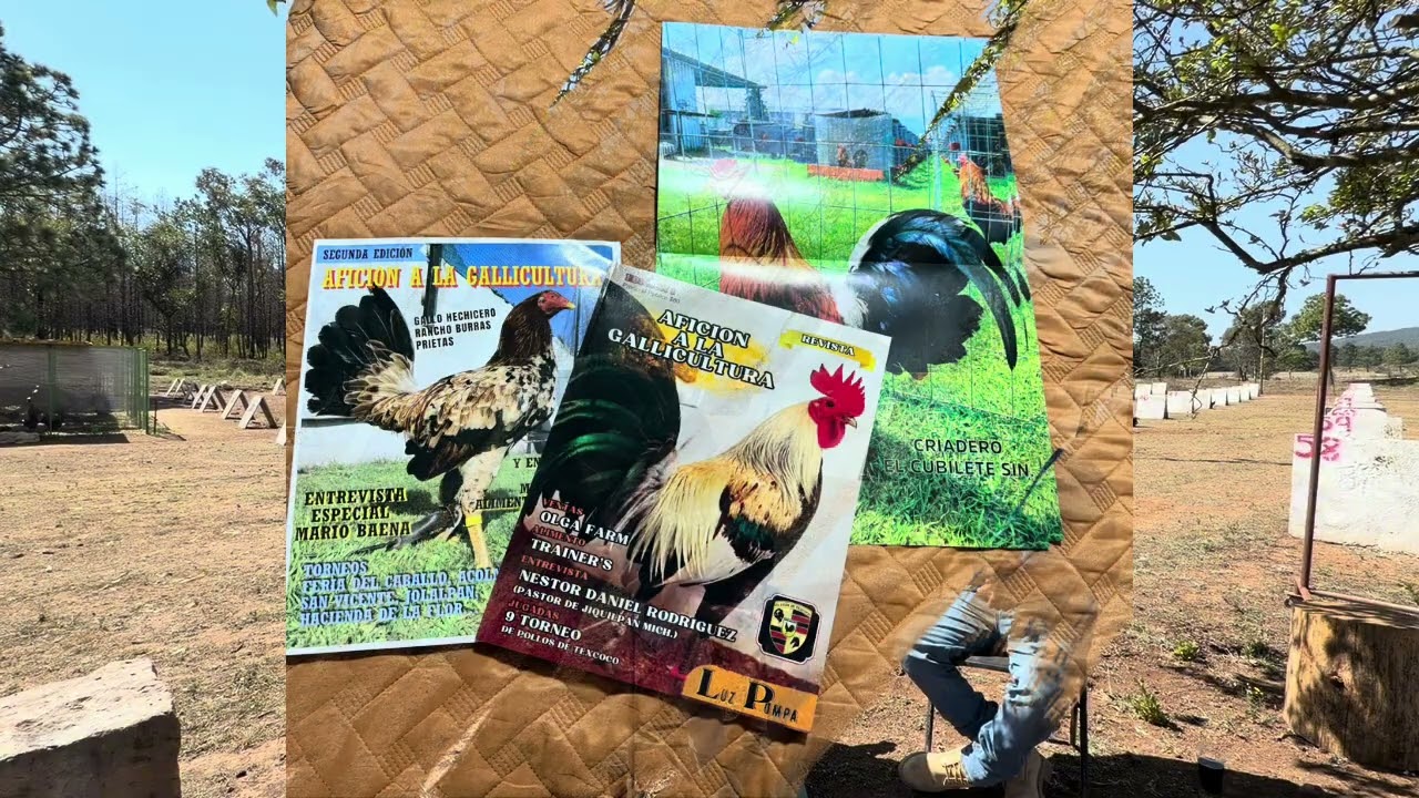 2 Parte en Rancho El Peli Wey BP de Ivan Becerril 
