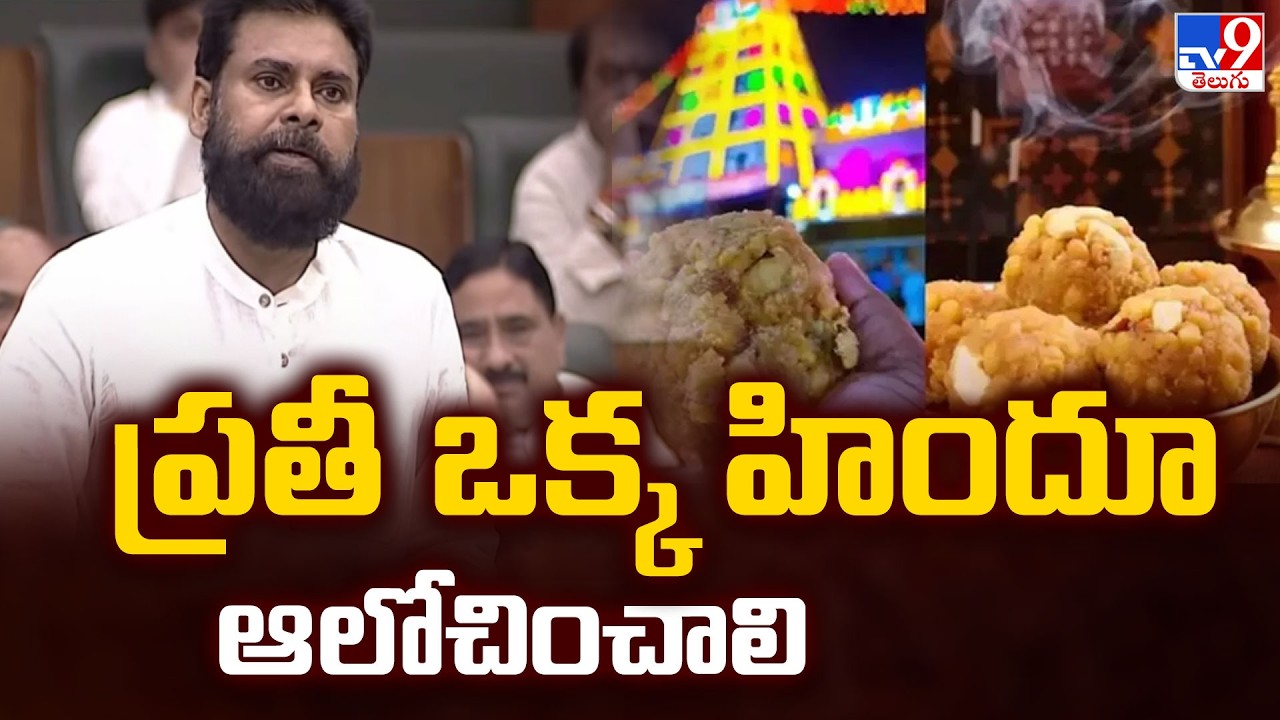 Pawan Kalyan Comments on Laddu Row : ప్రతీ ఒక్క హిందూ ఆలోచించాలి  - TV9