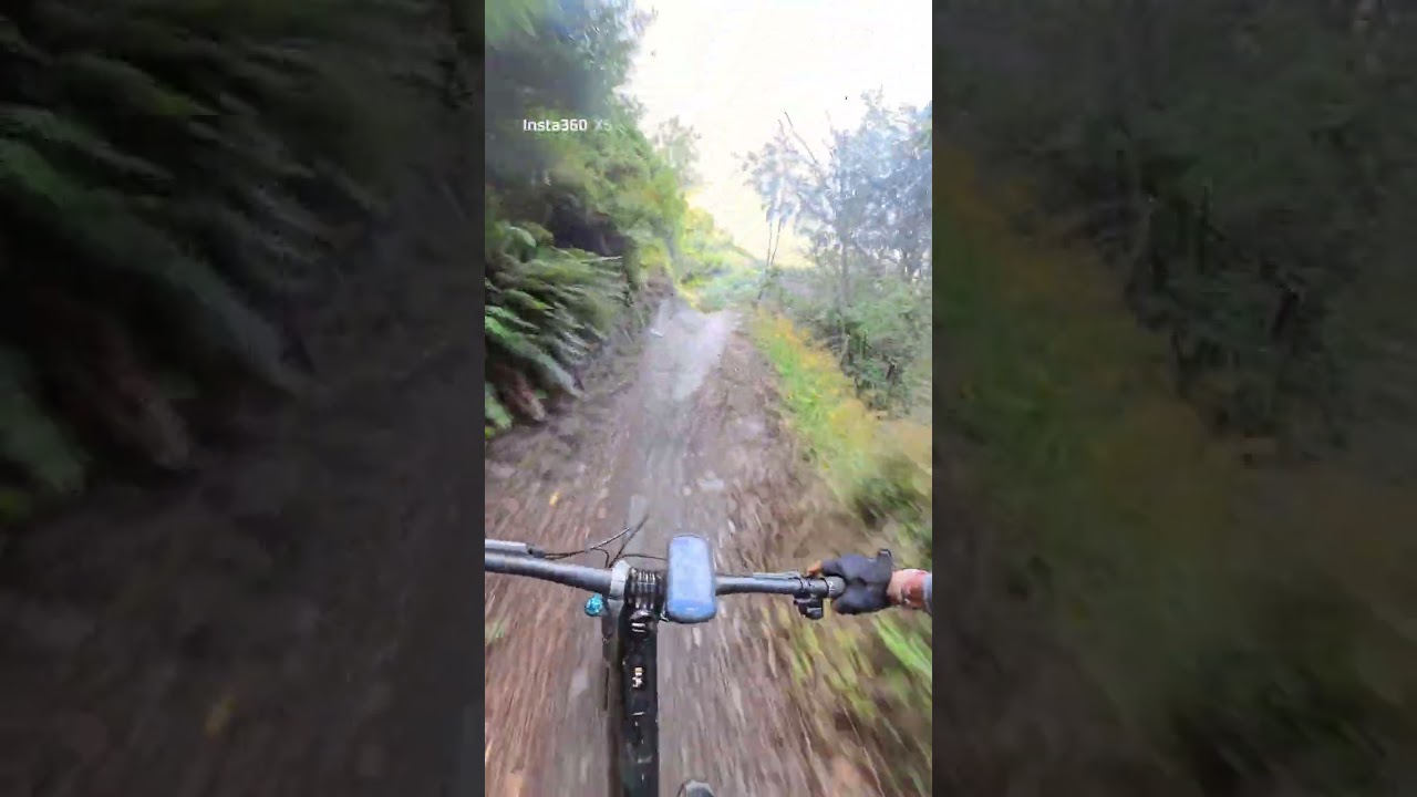 Bush Creek, NZ - Acompanhe o Zé Pupo esta descida eletrizante!