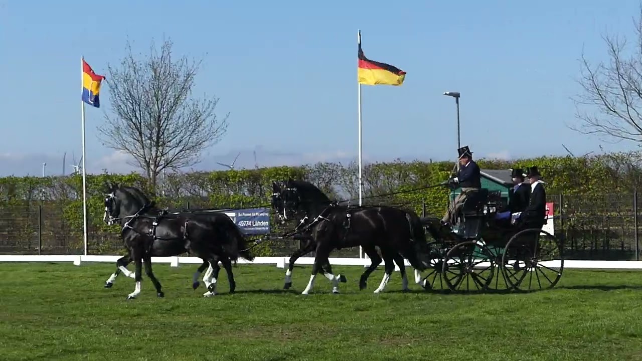 EXELL, Boyd, AUS, Part of Dressage Four in hand horses, CAI3# H4 Lähden 29 04 2023