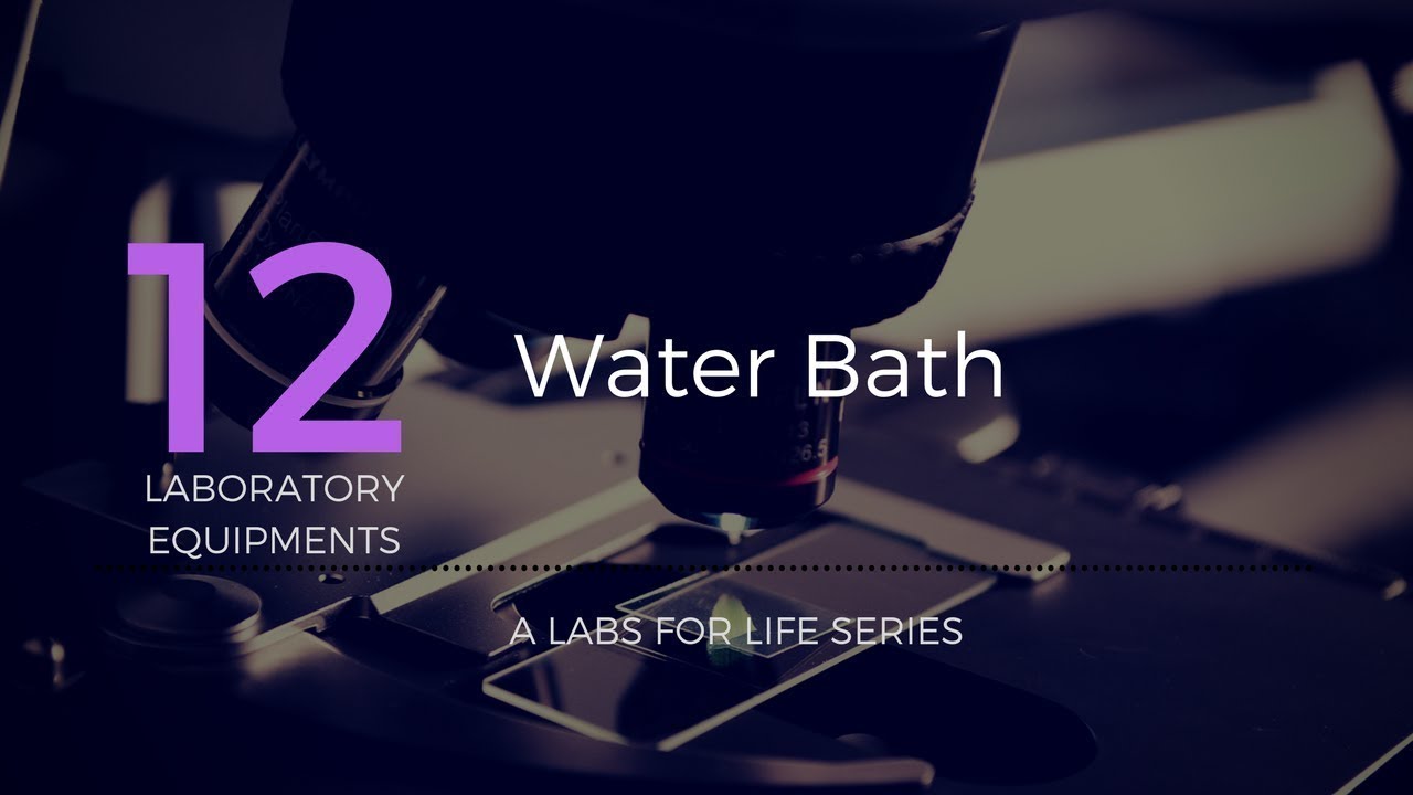 Water bath