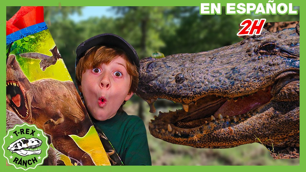 Caimanes chulos y reptiles increíbles en parque | Videos de dinosaurios y juguetes para niños
