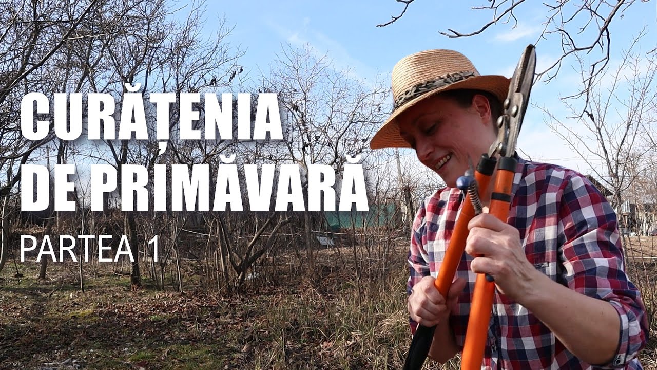Cea mai tristă zi din martie. Am început curățenia de primăvară.