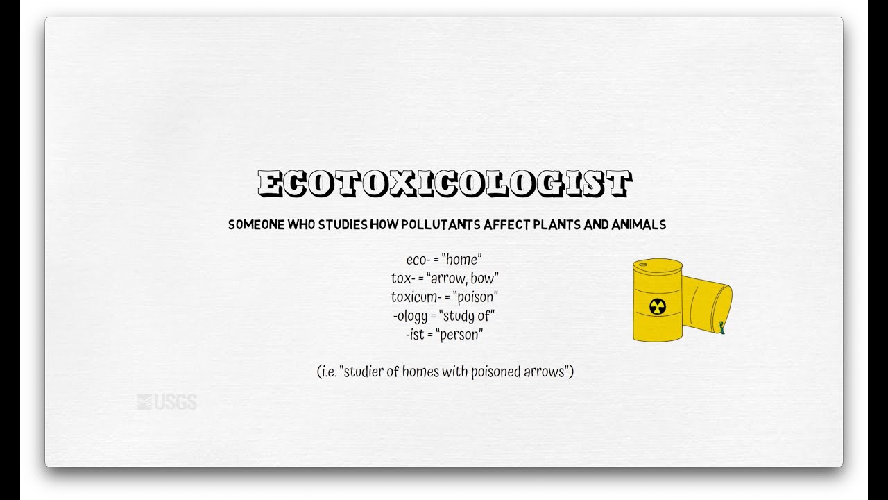 I Am An...Ecotoxicologist
