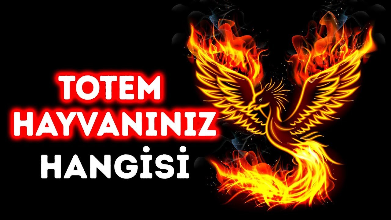 Totem Hayvanınız Hangisi?