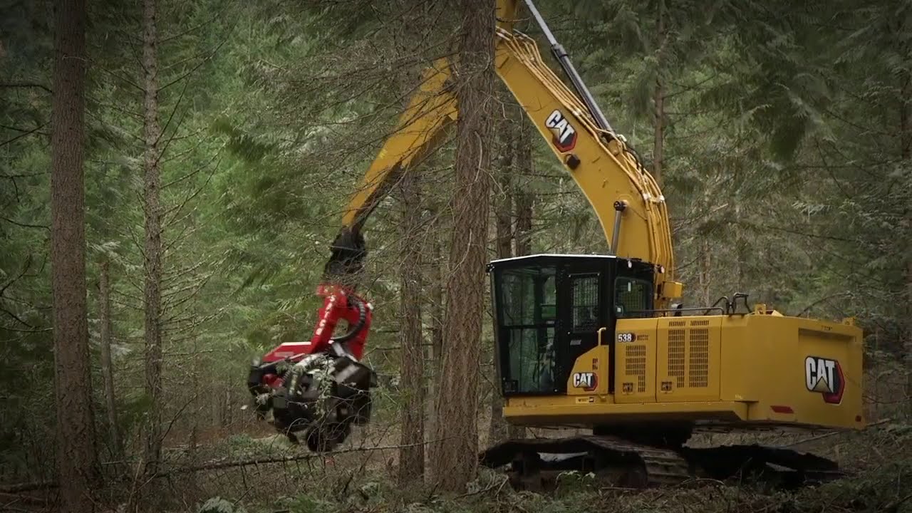 Seasoned Logger Loves New Cat® 538