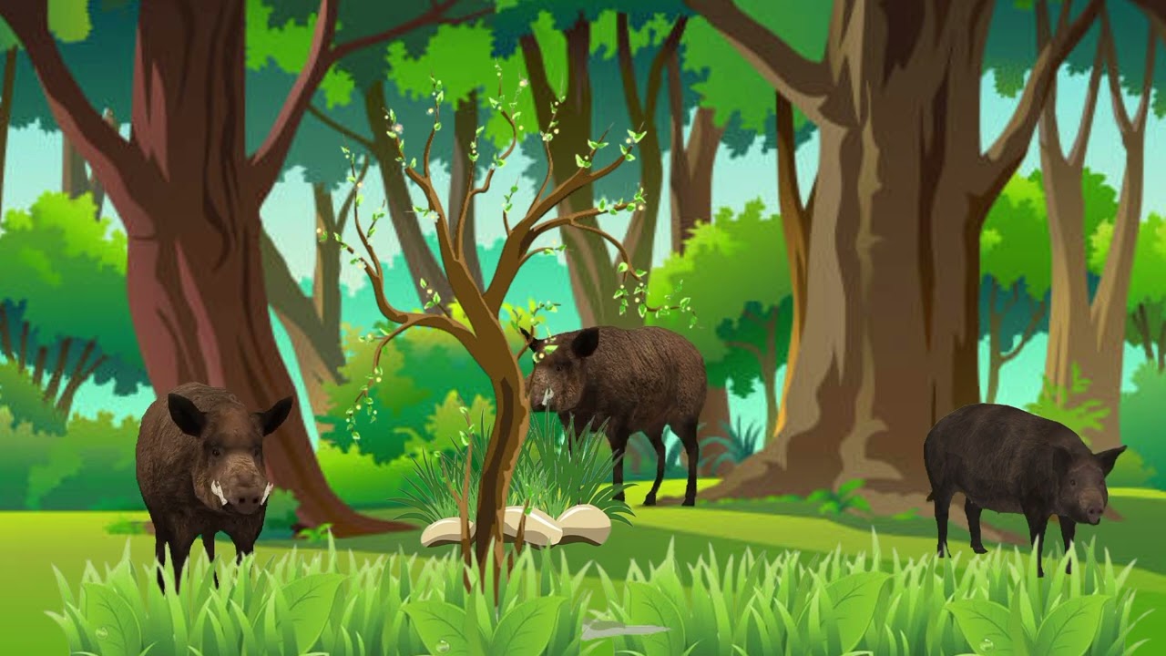 5 Gaint 🦓 Zebra Wolf 🐺 Boar 🐗 cartoon animation