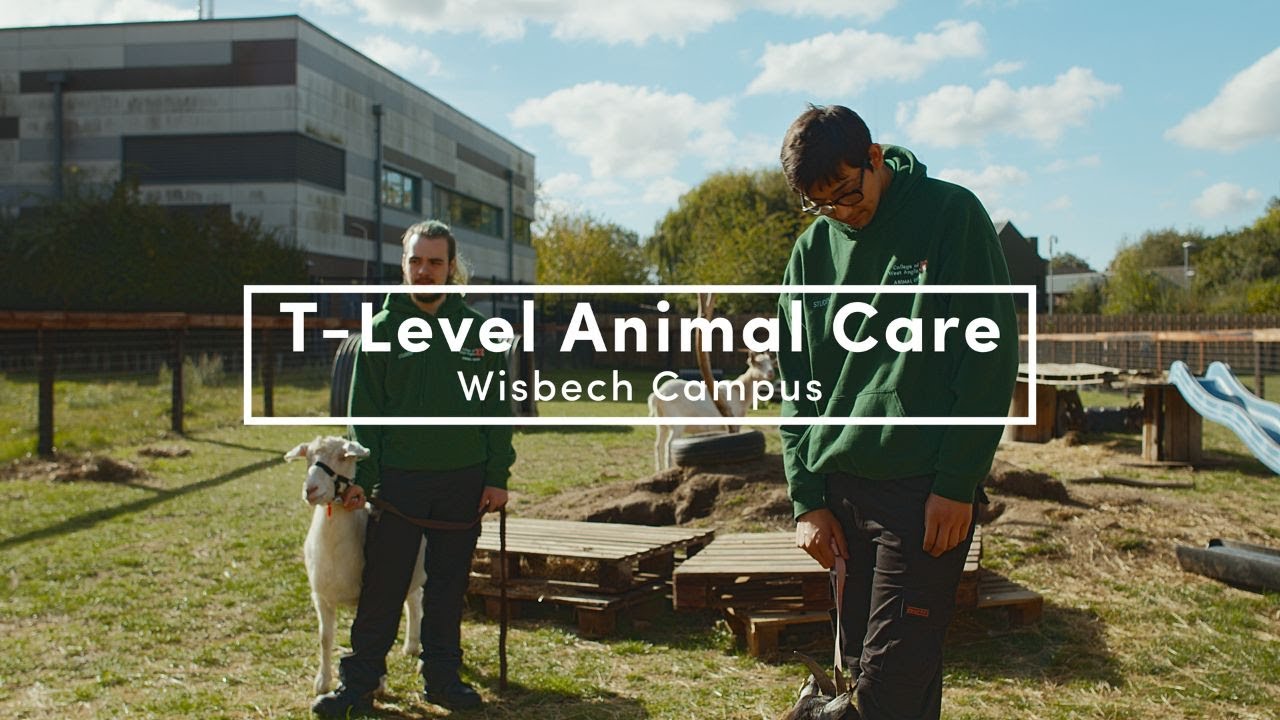 T-Level Animal Care Course