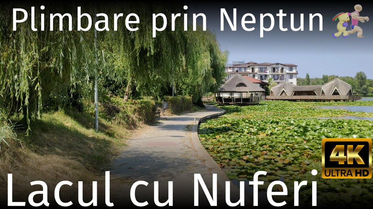 Plimbare Statiunea Neptun ~ Lacul cu nuferi ~ Constanta ~  🇷🇴Romania ~  4K60fps