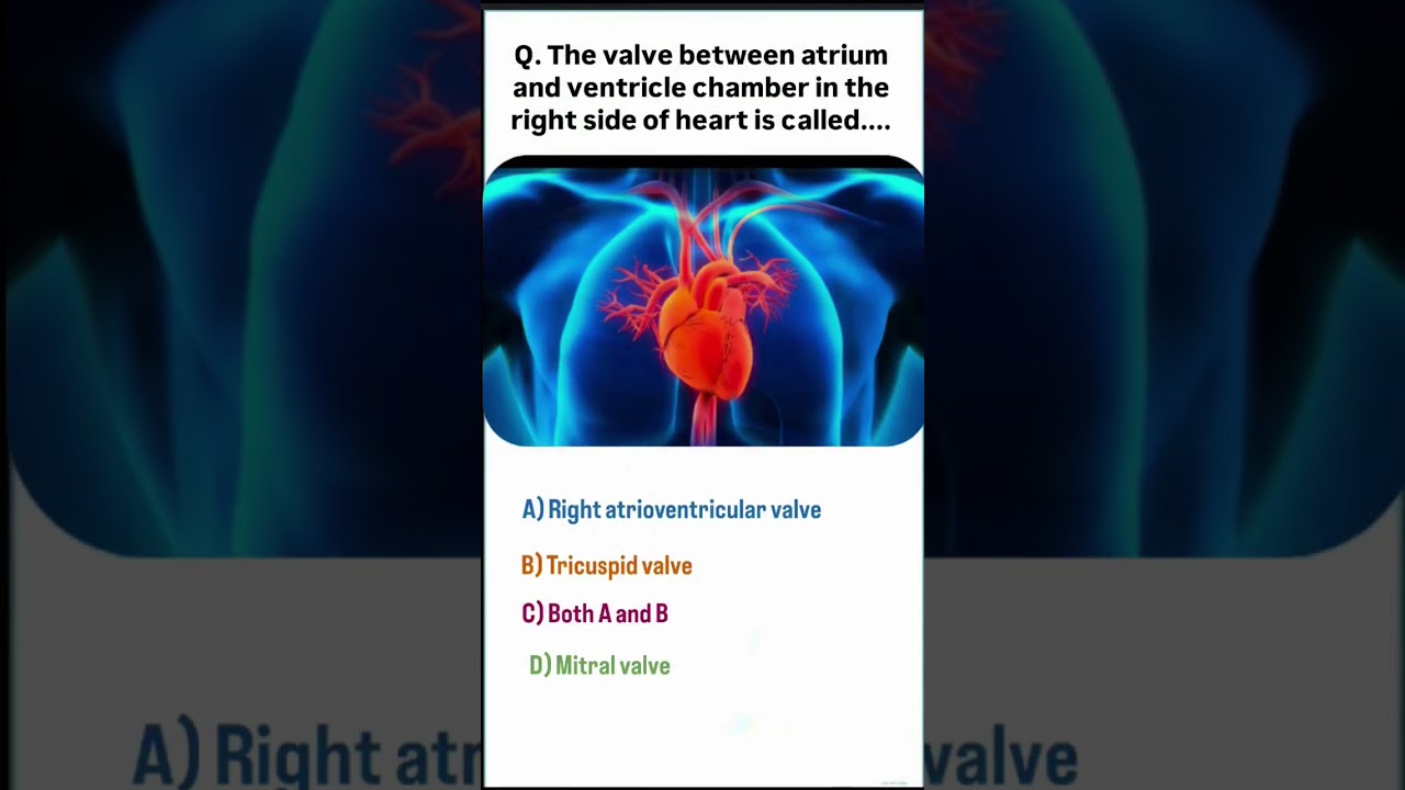 NURSING GOLDEN POINTS CLASSES MOST IMPORTANT QUESTIONS REPITED QUESTIONS ANM CLASSES UPPSSSC BTSC HR