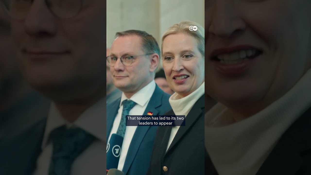 Russia rift rocks Germany's AfD | DW News