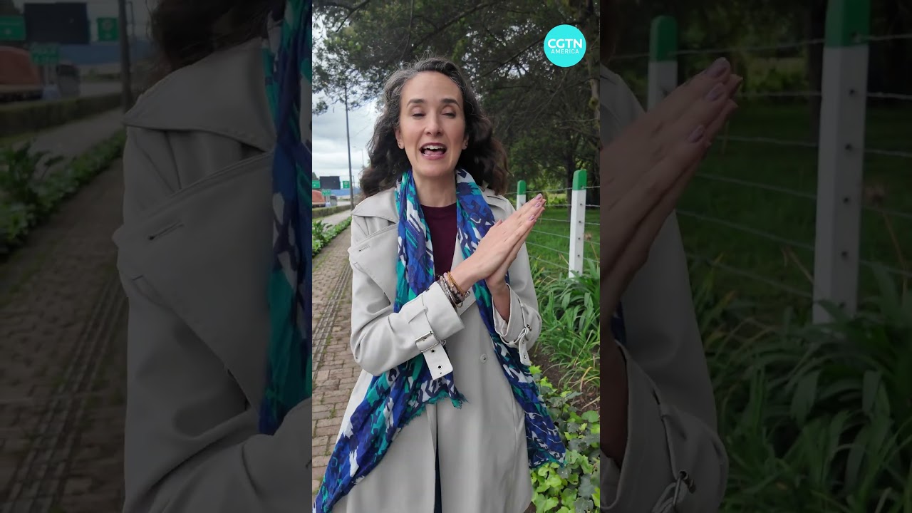 Colombia elections explained