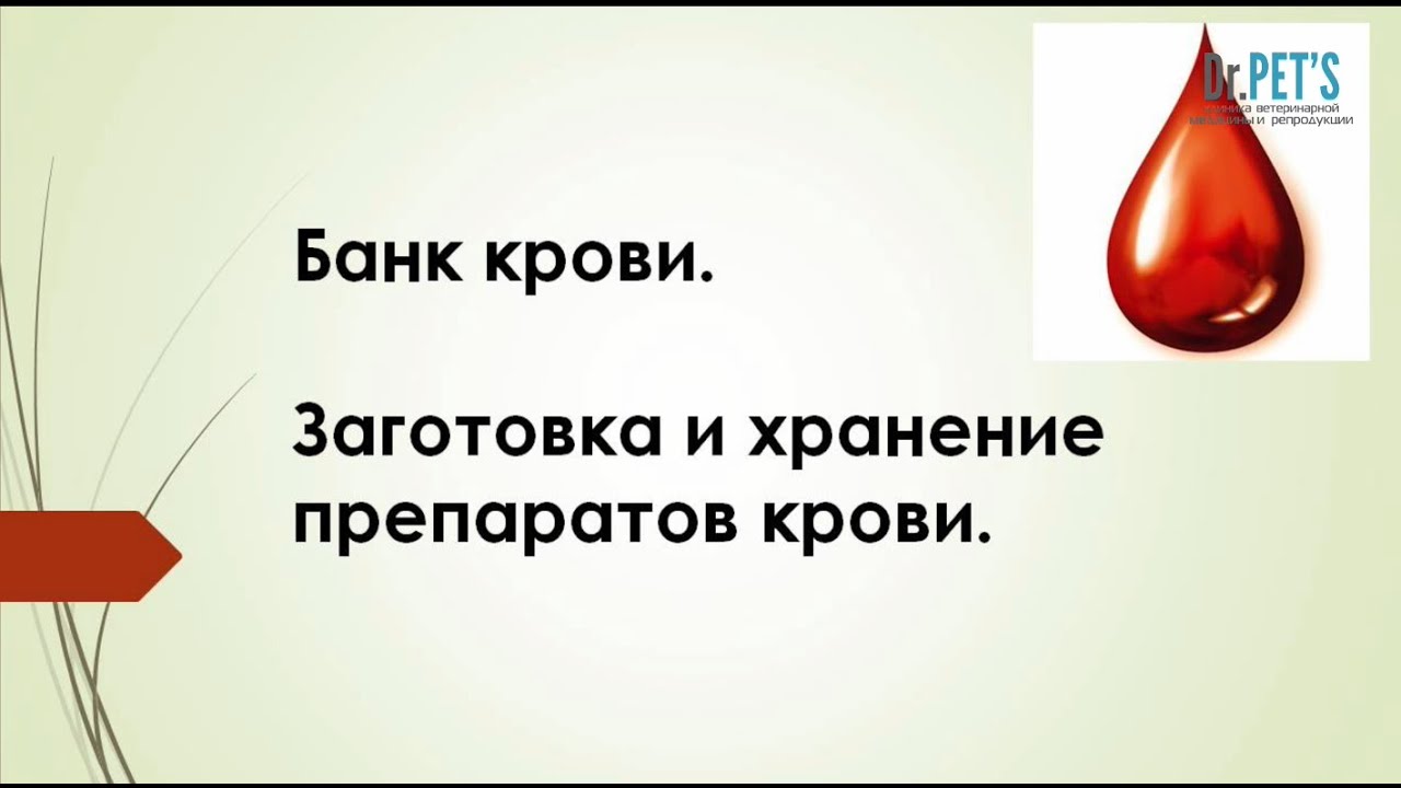 Банк крови. Заготовка и хранение препаратов крови