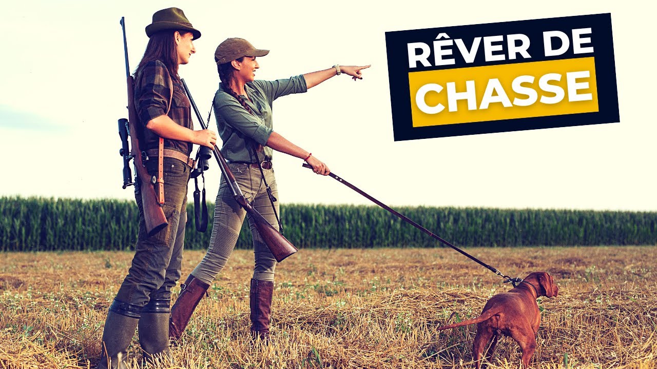 Rêver de Chasse 🏹 Signification d’un rêve de chasse [Interprétation Complète]