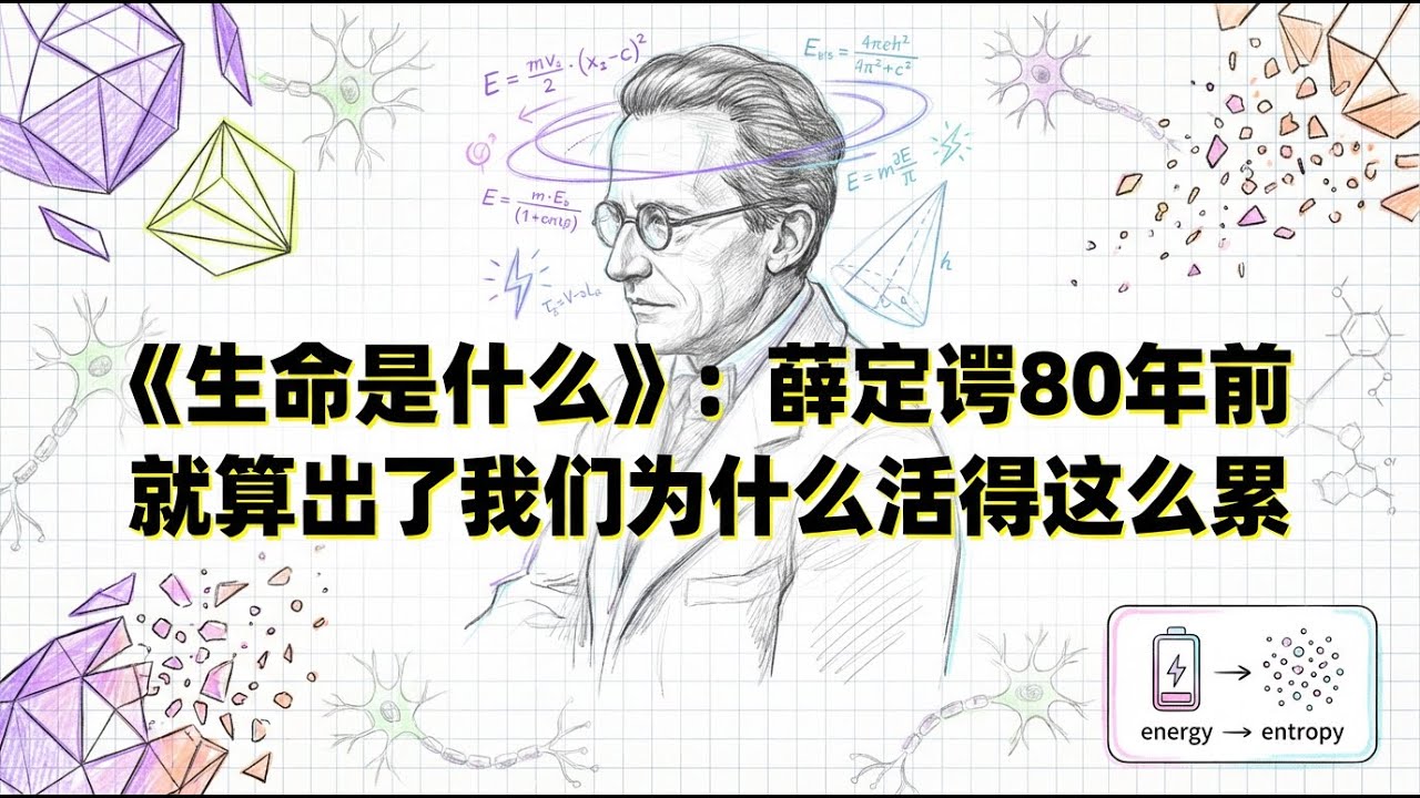 生命是什么 | 薛定谔对抗内耗的物理处方 | 负熵生存指南