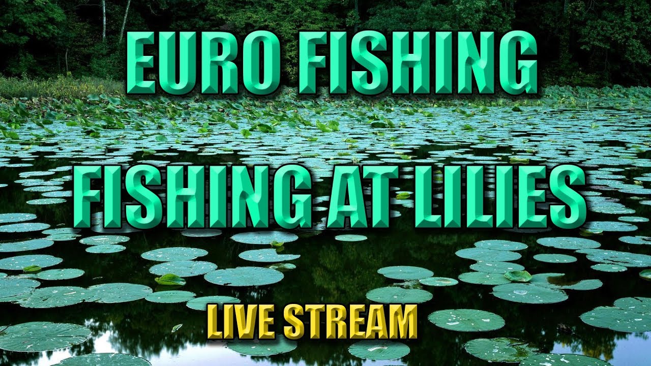 Euro Fishing Hunting boss fish from lilies featuring 2 boss fish