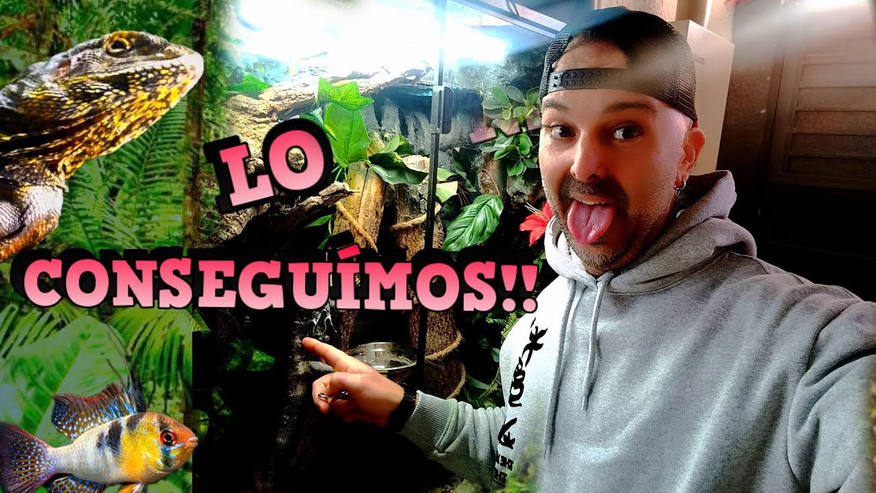 Ya somos CENTRO de CR&Iacute;A y N&Uacute;CLEO ZOOL&Oacute;GICO de PECES Y REPTILES!!