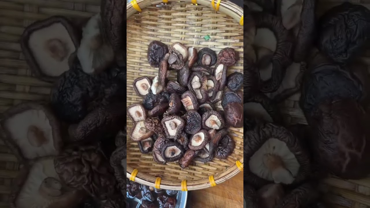 ផ្សិ តខ្មៅ. ខ. មាន់ស្រែ👍