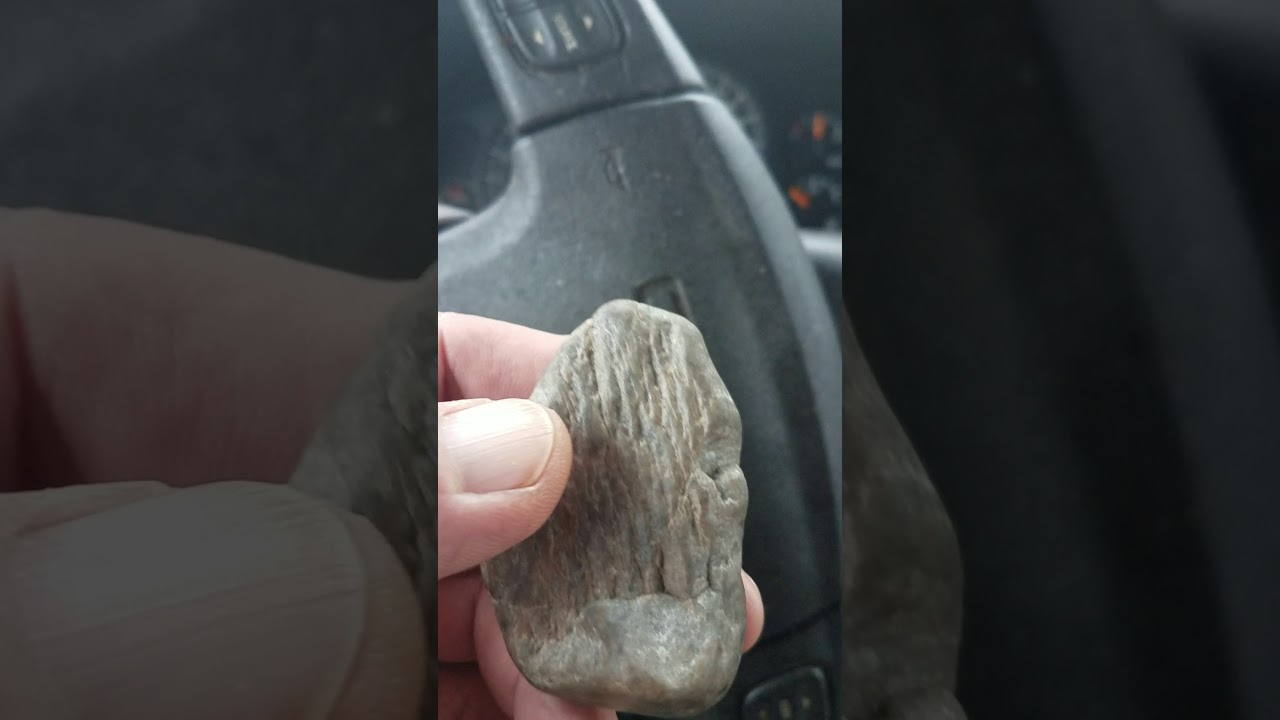Sasquatch gift.