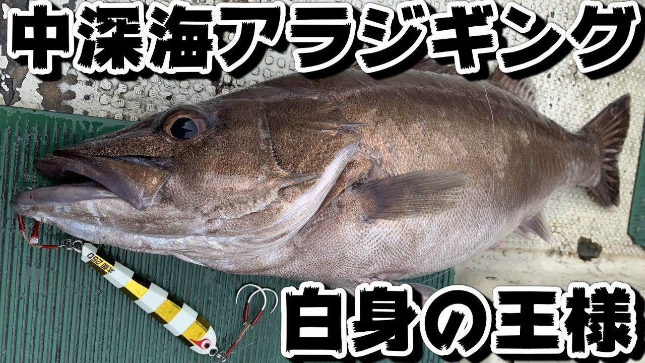 中深海アラジギング　遊心丸