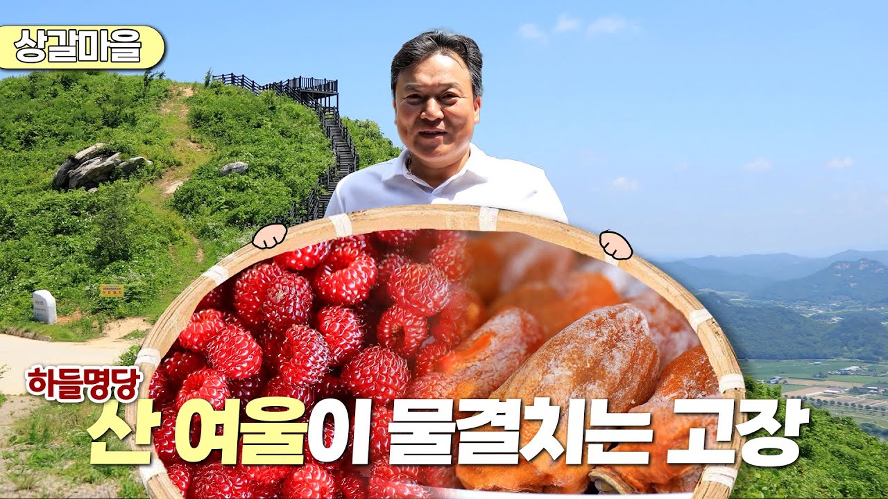 新우문현답 | 353회. 농부의 고집  | 경북 상주시 함창읍 상갈마을 (KBS 2023.07.19 방송)
