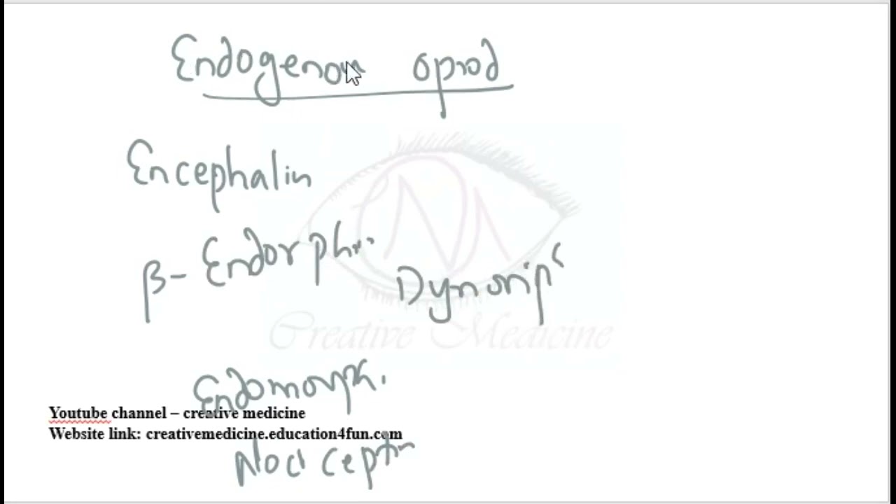 Lec 10 Endogenous Opioids mp4