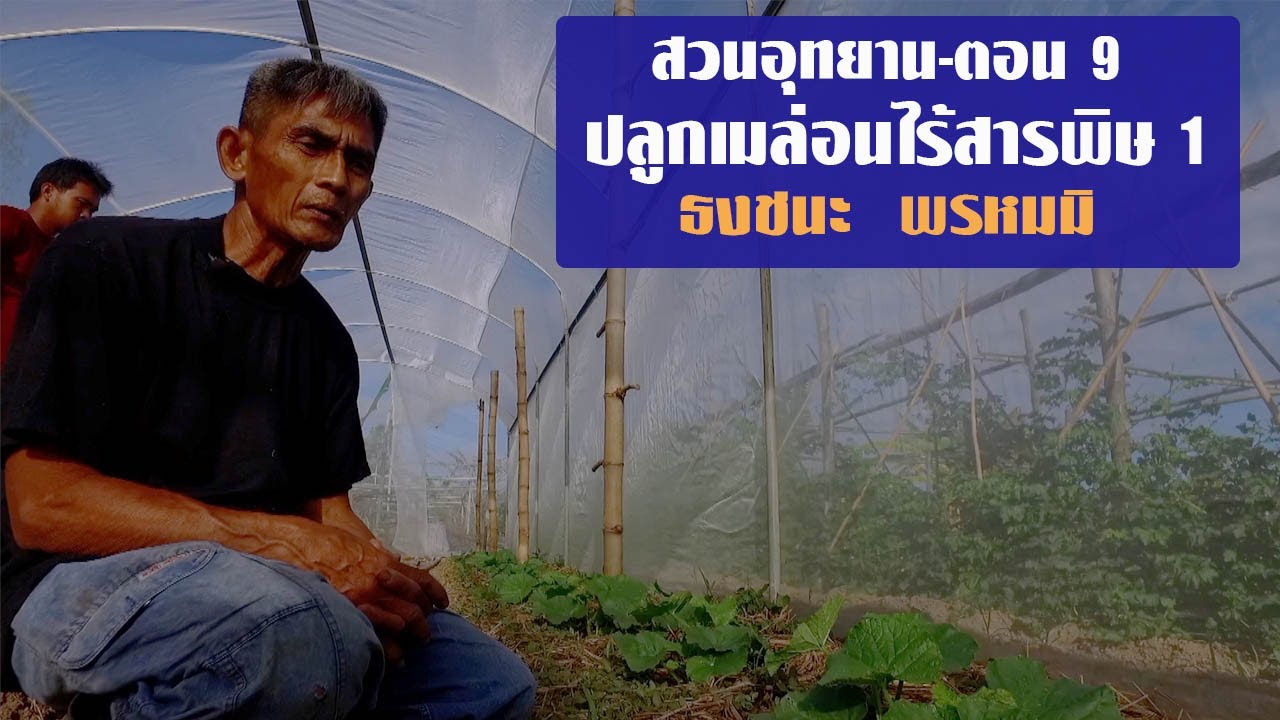 EP.9 คลิปเก่า..รายการคนเพื่อแผ่นดิน  สวนอุทยาน(ตอน9) อ.ธงชนะ พรหมมิ//สามอาชีพฯ