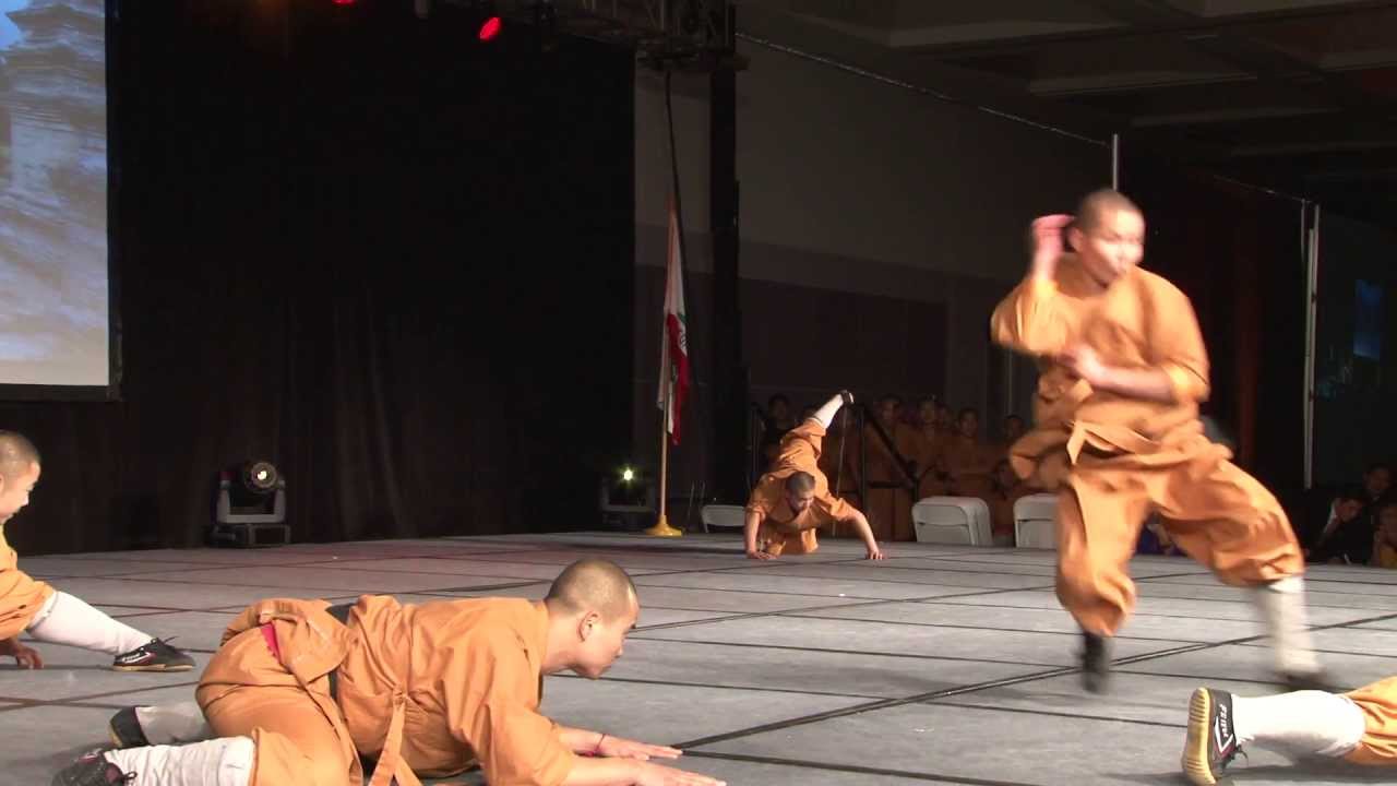 Shaolin Warriors Animal Forms