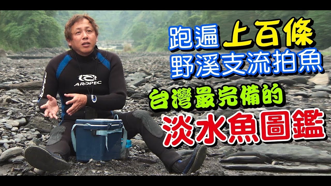 「就是喜歡看魚而已!」工廠維修技術員變成魚專家【一步一腳印精選】