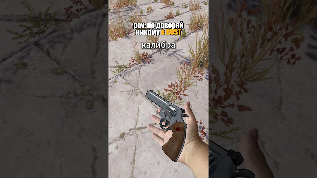 Питон это не змея #rust #раст #растприколы #растмемы #milkisbtw