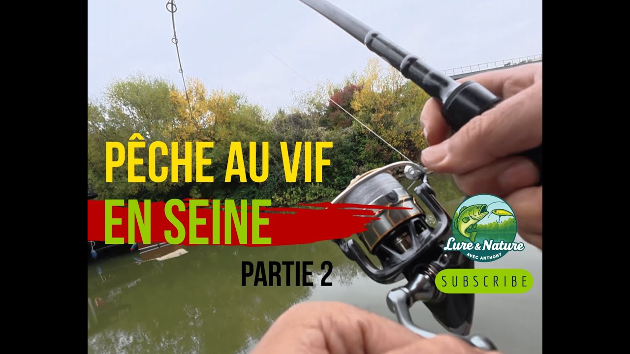 Pêche au vif en seine part 2